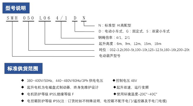 雙梁小車式電動(dòng)葫蘆